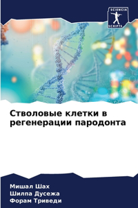 Стволовые клетки в регенерации пародонт