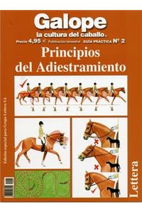 Principios del Adiestramiento