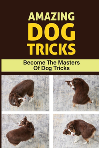 Amazing Dog Tricks