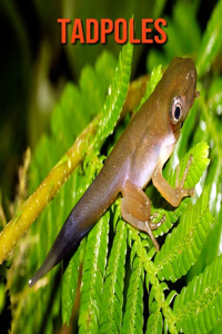 Tadpoles