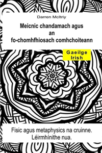 Meicnic chandamach agus an fo-chomhfhiosach comhchoiteann. Fisic agus metaphysics na cruinne. Léirmhínithe nua.