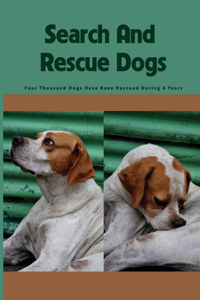 Search And Rescue Dogs- Four Thousand Dogs Have Been Rescued During 4 Years
