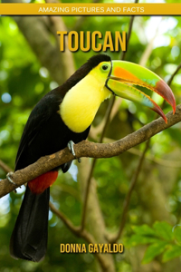 Toucan