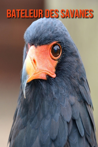 Bateleur des Savanes