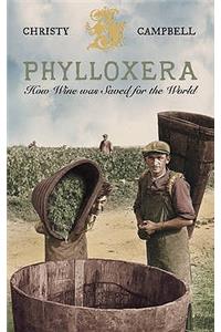 Phylloxera