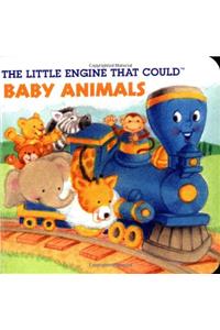 Baby Animals
