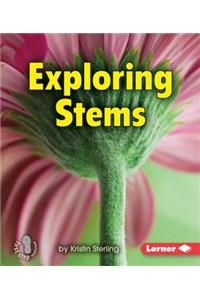 Exploring Stems