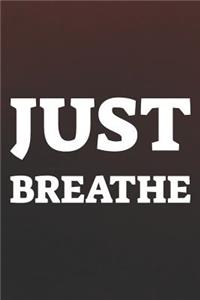 Just Breathe: Daily Success, Motivation and Everyday Inspiration For Your Best Year Ever, 365 days to more Happiness Motivational Year Long Journal / Daily Notebo