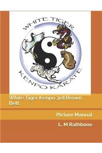 White Tiger Kenpo 3rd Brown Belt