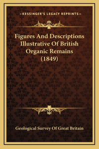 Figures And Descriptions Illustrative Of British Organic Remains (1849)