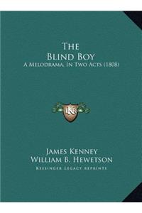 The Blind Boy