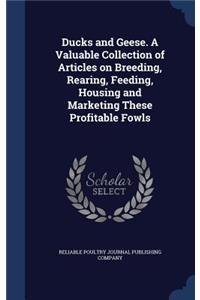 Ducks and Geese. A Valuable Collection of Articles on Breeding, Rearing, Feeding, Housing and Marketing These Profitable Fowls