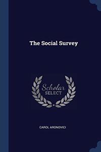 THE SOCIAL SURVEY