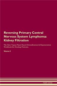 Reversing Primary Central Nervous System Lymphoma: Kidney Filtration The Raw Vegan Plant-Based Detoxification & Regeneration Workbook for Healing Patients.Volume 5