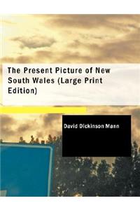 Present Picture of New South Wales
