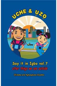 Uche and Uzo Say it in Igbo vol.7