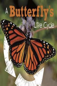 BUTTERFLYS LIFE CYCLE