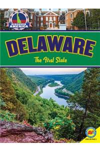 Delaware: The First State