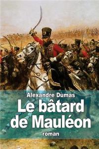 Le bâtard de Mauléon