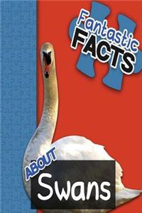Fantastic Facts about Swans