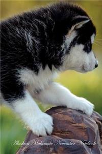Alaskan Malamute November Notebook Alaskan Malamute Record, Log, Diary, Special Memories, To Do List, Academic Notepad, Scrapbook & More