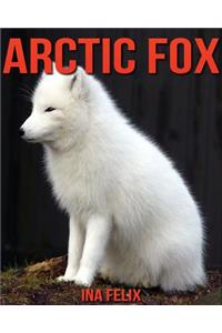 Arctic Fox