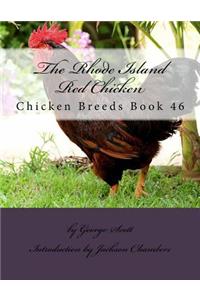 Rhode Island Red Chicken