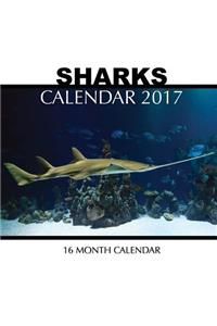 Sharks Calendar 2017