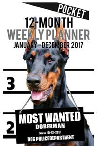 2017 Pocket Weekly Planner - Most Wanted Doberman