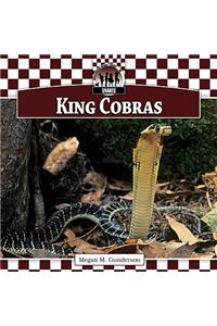 King Cobras