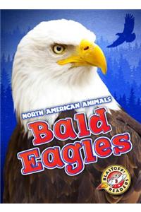 Bald Eagles