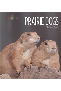 Prairie Dogs