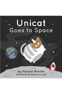Unicat Goes to Space