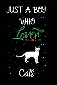 Just A Boy Who Loves Cats