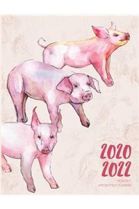 2020-2022 Three 3 Year Planner Watercolor Pig Piglets Monthly Calendar Gratitude Agenda Schedule Organizer