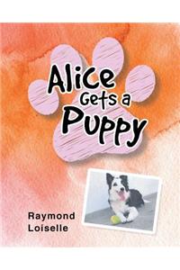 Alice Gets a Puppy