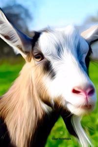 Goat Notebook