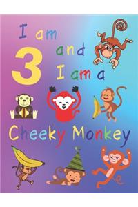 I am 3 and I am a Cheeky Monkey