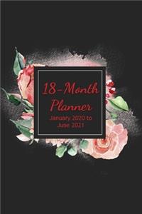 18-Month Planner - January 2020 to June 2021