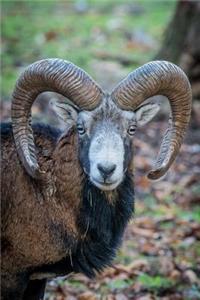 Goat Notebook