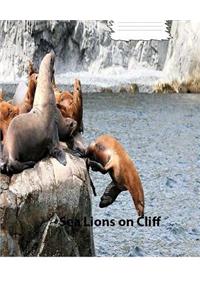 Sea Lions on Cliff on Cover for collegeruledlinedpaper Composition Book