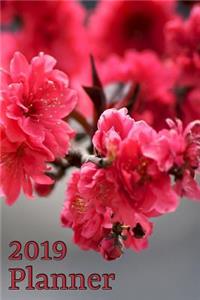 2019 Planner Vol. 10