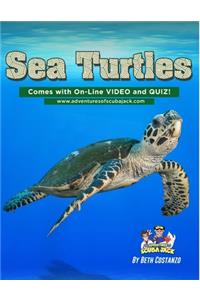 Sea Turtles