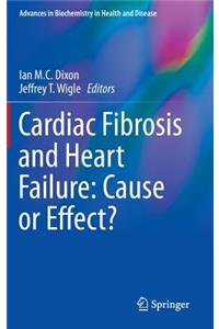 Cardiac Fibrosis and Heart Failure: Cause or Effect?