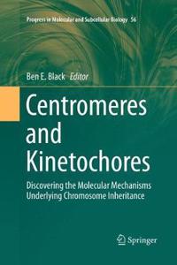 Centromeres and Kinetochores