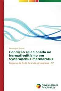 Condição relacionada ao hermafroditismo em Synbranchus marmoratus