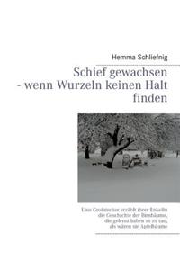 Schief Gewachsen - Wenn Wurzeln Keinen Halt Finden