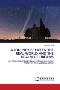 Journey Between the Real World and the Realm of Dreams