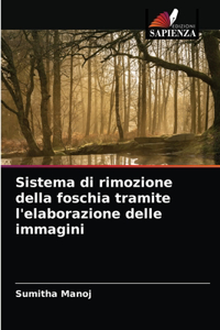 Sistema di rimozione della foschia tramite l'elaborazione delle immagini