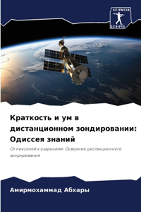 Краткость и ум в дистанционном зондирован